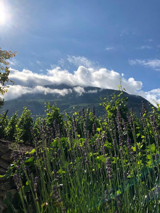 BnB Chantevent Sierre Buitenkant foto